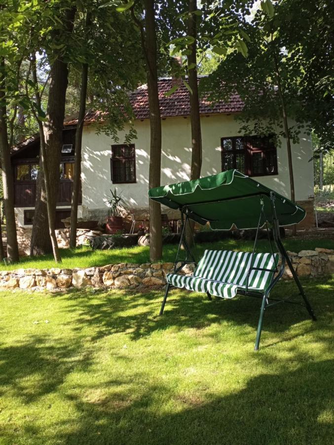 Konaciste Mali Izvor Villa Boljevac Eksteriør billede