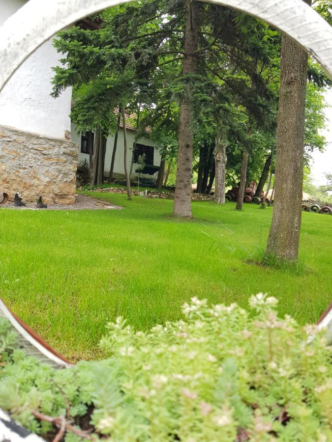 Konaciste Mali Izvor Villa Boljevac Eksteriør billede