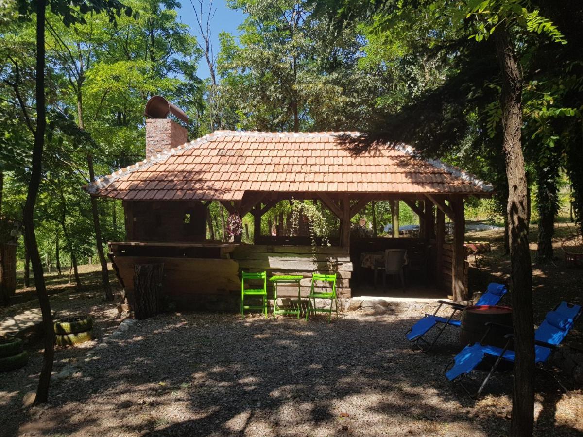 Konaciste Mali Izvor Villa Boljevac Eksteriør billede